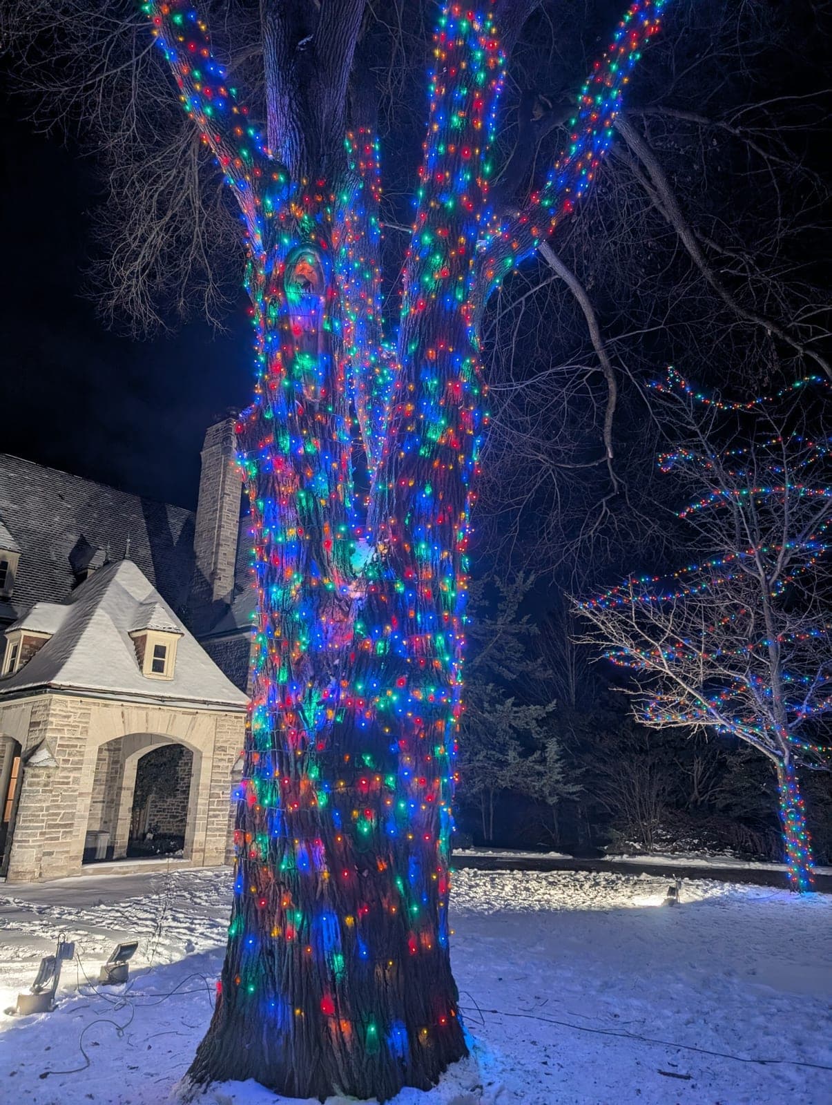 Festive Holiday Lighting — 2026 Service Excellence Award winner